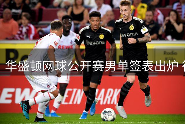 华盛顿网球公开赛男单签表出炉 德米纳尔遭遇硬仗