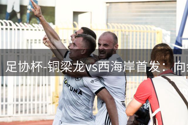足协杯-铜梁龙vs西海岸首发：向余望、杜月徵、李昊、张修维出战
